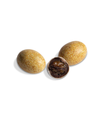 Oeufs Goëland Caramel - Médicis Paris - Chocolats fabriqués en France