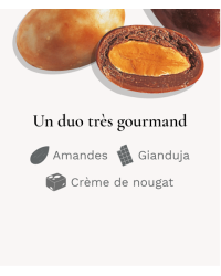 Oeufs Chocolat Nougat & Gianduja - Médicis Paris - Chocolats fabriqués en France