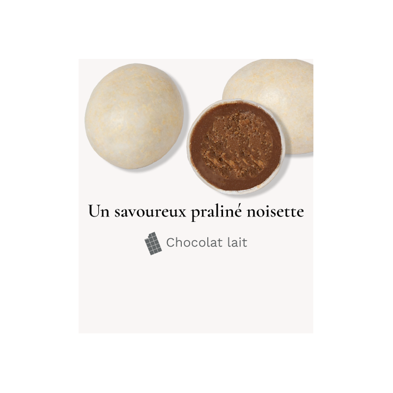Oeufs de Mouette Praliné - Médicis Paris - Chocolats fabriqués en France